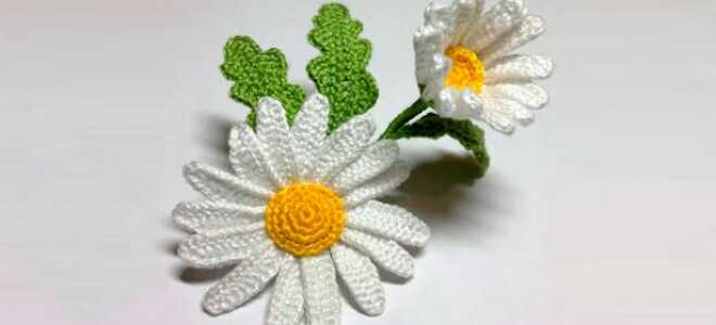 Ромашка крючком: 6 вариантов со схемами, описанием и видео МК