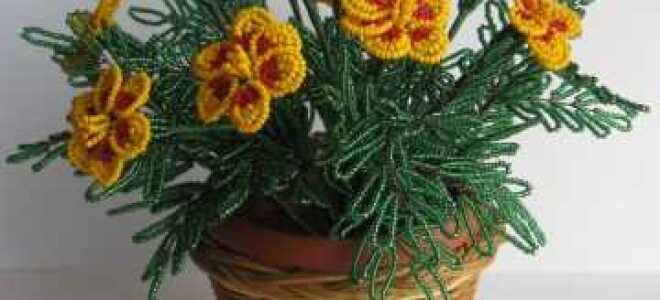 Бархатцы из бисера мастер-класс с пошаговыми фото