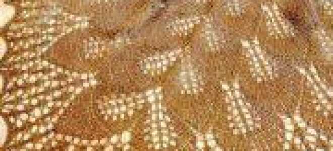 Шаль замерзшие листья авторского дизайна (схемы и описание)