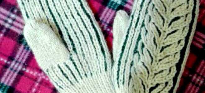 Варежки в технике бриошь: 4 модели со схемами, описанием, фото