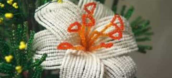 Лилия из бисера: плетение разных видов цветка (фото и видео)