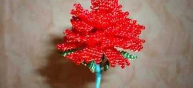 Гвоздика из бисера: два варианта плетения (фото и видео урок)