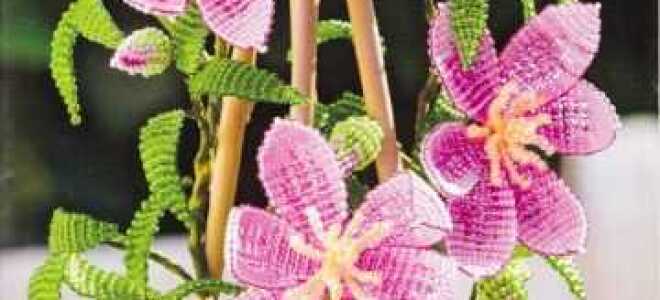 Клематисы из бисера в пошаговом мастер-классе и схемах