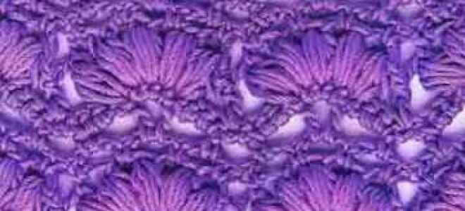 Узор ракушка вязание спицами по схеме с описанием и видео уроки