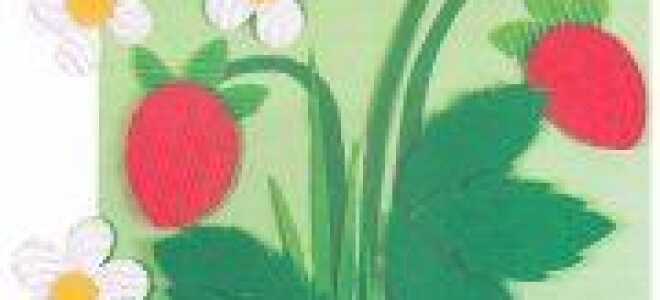 Аппликация лето из цветной бумаги и пластилина в пошаговом мастер-классе