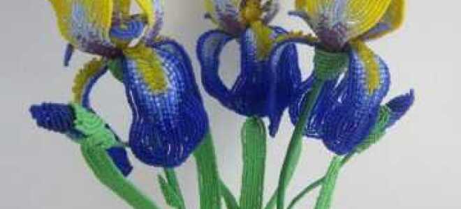 Ирис из бисера на основании фото мастер-класса и схем